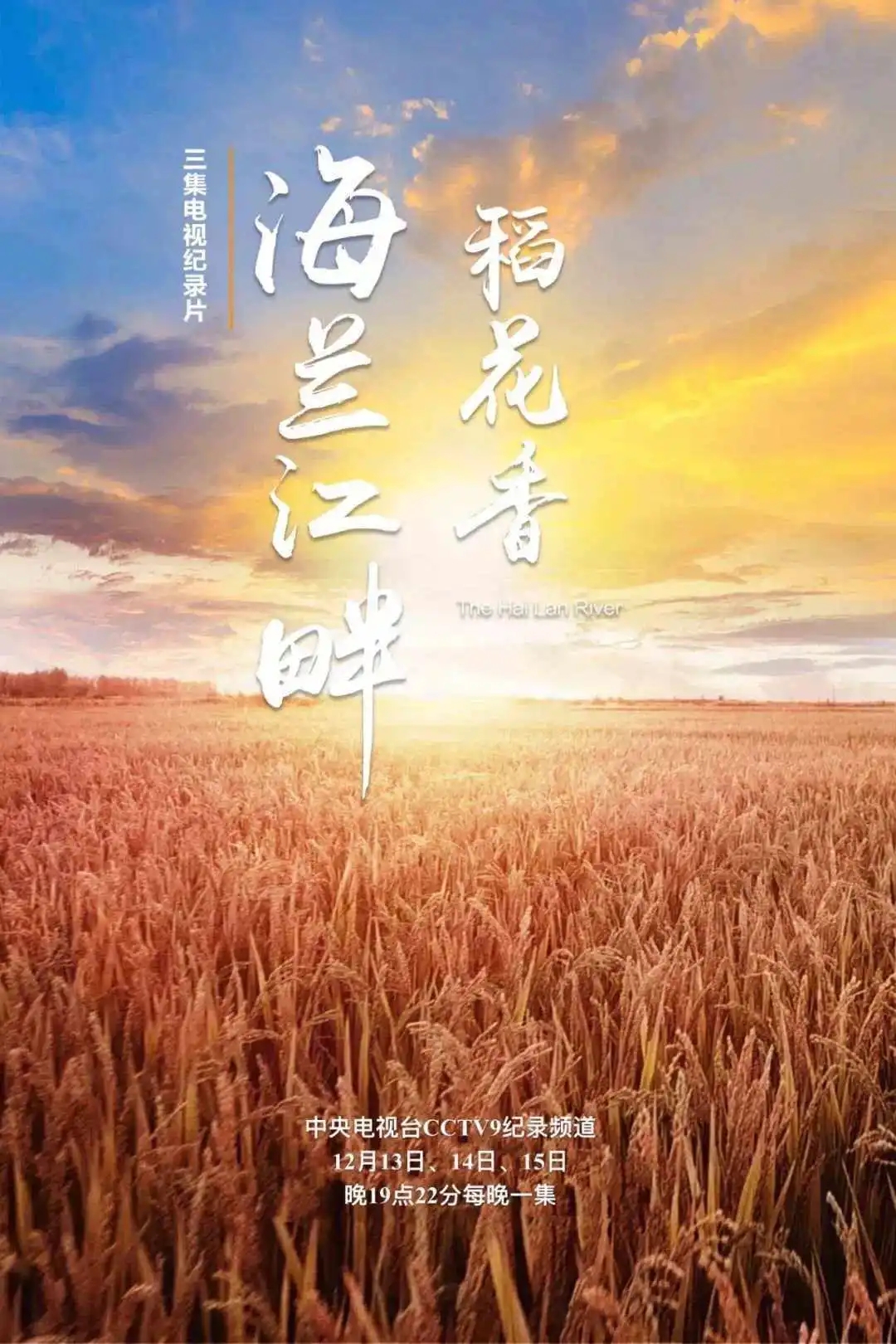 20200817 海兰江畔稻花香3.webp - 副本 - 副本.jpg